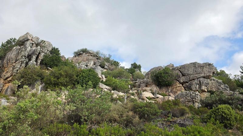 3 Bedroom Property for Sale in Piketberg Rural Western Cape